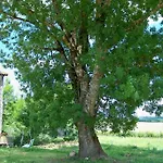 Gite Le Figuier * Ozillac