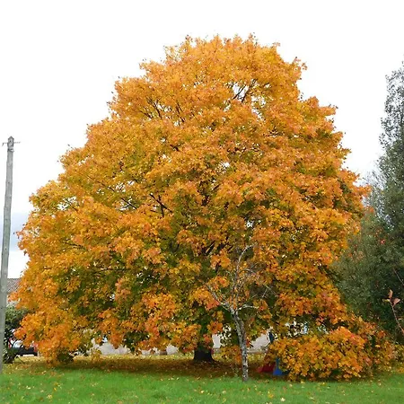 La Petite Barriere בית נופש *