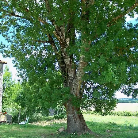 La Petite Barriere * Ozillac