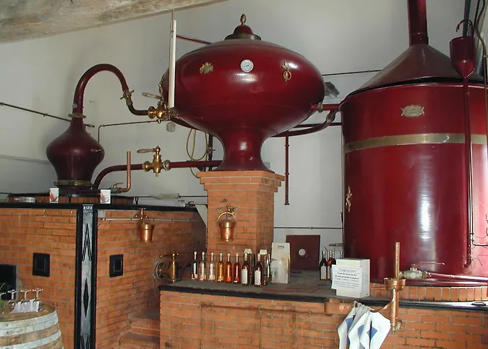 La Petite Barriere *