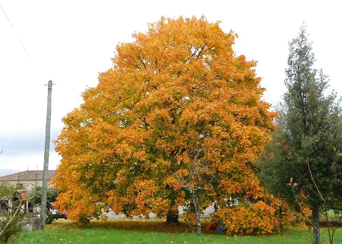 La Petite Barriere Prázdninový dům *